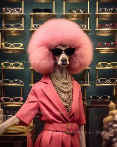 a dog in a pink coat and sunglasses is standing next to some shelves with glasses