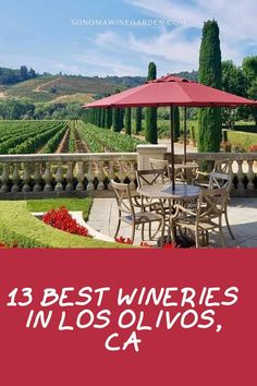 an outdoor dining area with red umbrellas and flowers in the foreground text reads, 13 best wineries in los olvos, ca