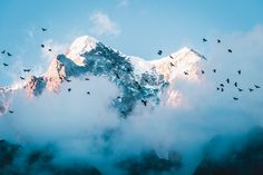 a flock of birds flying over the top of a snow covered mountain with clouds in the foreground