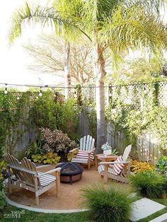 an outdoor patio with chairs and tables surrounded by greenery, palm trees, and potted plants