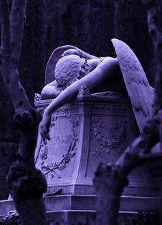 an angel statue sitting in the middle of a cemetery