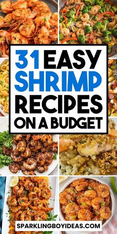 shrimp recipe collage with the words 31 easy shrimp recipes on a budget