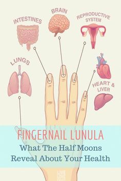 Your fingernail lunula provide valuable information about your health. An absent or discolored lunula may indicate anemia, malnutrition or depression. Moons On Fingernails, Fingernail Health, Half Moon Nails, Fruit Health, Half Moons, Coconut Health Benefits, Health Signs, Moon Nails, Natural Health Tips