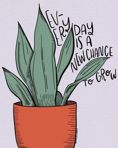 a plant in a pot with the words every day is a fun chance to grow