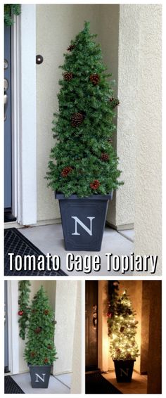 a potted christmas tree sitting in front of a door with the letter n on it