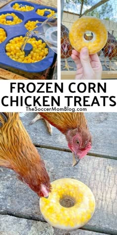 the frozen corn chicken treats are ready to be eaten