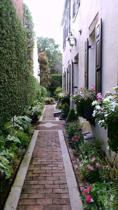 a narrow brick path between two buildings with flowers on each side and potted plants along the sides