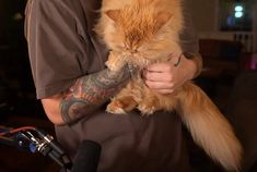 a man holding an orange cat in his arms with tattoos on it's arm