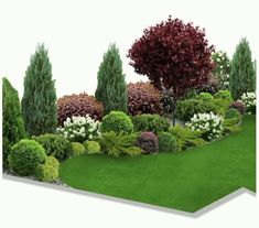 an image of a garden with trees and shrubs in it's landscape design process