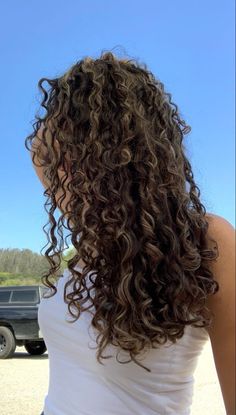 Highlights On Long Curly Hair, 90s Highlights Hair Curly, Curly Hair Cuts With Highlights, Brown Highlighted Curly Hair, Long Brown Permed Hair, Long Wavy Hair Highlights, Long Curly Permed Hair, Wavy Curly Hair Dye Ideas, Highlights Wavy Hair Natural