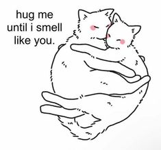 a drawing of a cat hugging another cat with the caption hug me until i smell like you