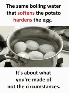 an image of eggs in a pan with the caption, it's about what you're made of not the circumstances