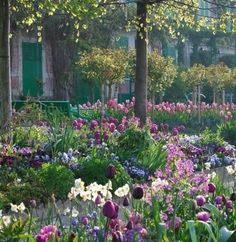 a garden filled with lots of flowers next to a lush green park covered in trees