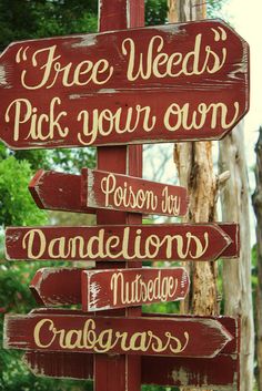 a wooden sign pointing in different directions with trees in the back ground and bushes behind it