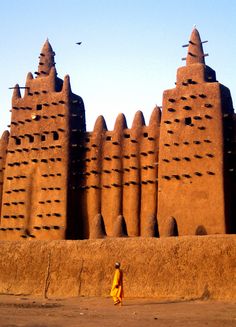 a person standing in front of a building made out of mud bricks with birds flying over it