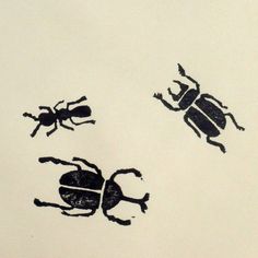 two bugs and one beetle are drawn in black ink on a white paper with the word,