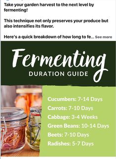 a flyer for fermenting with jars full of pickles and carrots