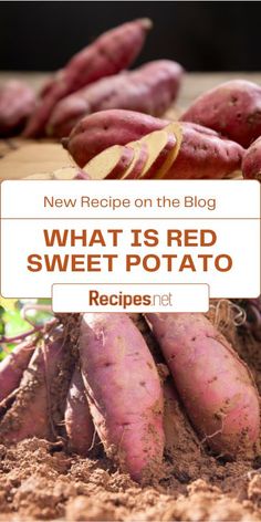 red sweet potato sitting on top of a pile of dirt