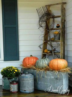 pumpkins and gourds are sitting on the front porch with an old ladder in the background