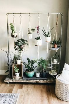 several plants are hanging from a metal rack