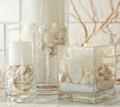 seashells and candles are displayed in glass containers