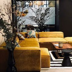 a living room filled with yellow couches next to a coffee table and vases