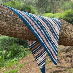 a tree branch with a blue and pink blanket hanging from it's side in the woods