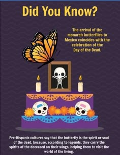 a birthday card with skulls and a butterfly on it, which says did you know?