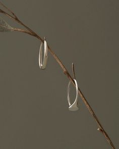 two silver hoop earrings hanging from a twig