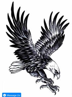 an eagle is flying in the air with its wings spread out and talons outstretched