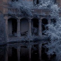 an old building next to a body of water with trees growing out of the windows