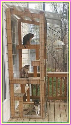 (paid link) A catio is an enclosed patio expected especially for cats. Cats who roam freely outdoor generally have shorter lives than cats who remain indoors. A catio provides ... Outdoor Cat Run Ideas, Catio Ideas Porch, Cat Porch Enclosure, Cat Outside Enclosure, Cat Patio Enclosure, Cat Porch, Cat Patios