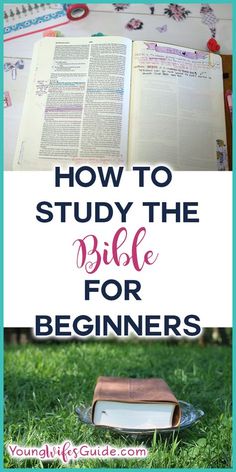 an open bible on the grass with text overlay how to study the bible for beginners