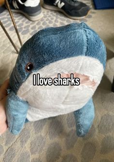 someone holding a stuffed animal with the words i love sharks on it's face