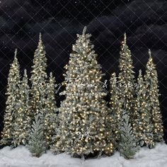 christmas trees are lit up in front of a night sky with stars and snow on the ground