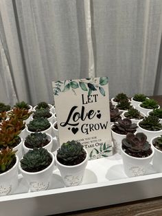 there are many potted plants on the table with a sign that says let love grow