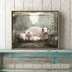 a sheep and two lambs sitting on top of a wooden shelf next to a wall