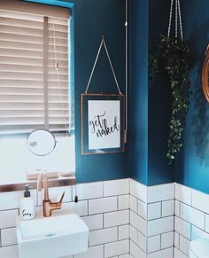 a bathroom with blue walls and white tile flooring is pictured in this image, there are plants hanging on the wall next to the toilet