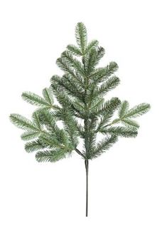 a small pine tree is shown on a white background