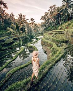 a woman wearing a hat standing in front of a rice field with palm trees on the side