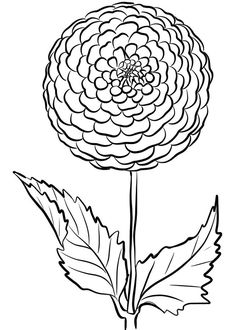 Dahlia Coloring Pages - Best Coloring Pages For Kids Hur Man Ritar Blommor, Flowers For Kids, Printable Flower Coloring Pages, Turtle Coloring Pages, Love Coloring Pages, Flower Drawing Design, Embroidery Template, Relaxing Colors, Fall Coloring Pages