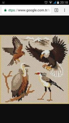 four different types of birds are depicted in this cross stitch pattern