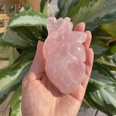 Crystal Vibes, Crystal Aesthetic, Fotografi Vintage, Pretty Rocks, Anatomical Heart, Witchy Stuff, Aphrodite, Rocks And Crystals, Crystals And Gemstones