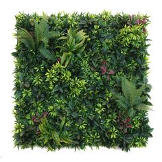 the top view of a green wall with lots of plants growing on it's sides