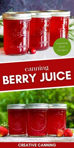 canning juice in mason jars Canning Raspberry Juice, Canning Juice Concentrate, Canning Drinks, Canning Berries, Diy Fruit Juice, Homesteading Food, Canning Blueberry Juice, Canning Fresh Fruit Juice, Canning Drink Concentrate