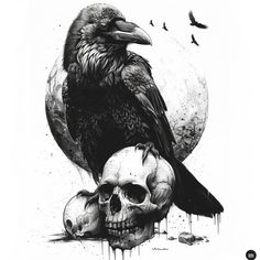 a black bird sitting on top of a skull