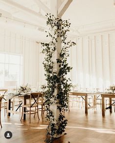 an indoor dining room with tables and chairs covered in ivy vines, surrounded by white walls