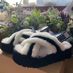 Size 7 Black White Stripe Ugh Slippers. Never Worn And Come With The Box. Brand New. No Flaws And Comes From A Smoke Free Home. Couldn’t Return Them Because They Were Passed The Date. Ugg Disco Cross Slide, Shoes Ugg, Womens Uggs, Ugg Shoes, White Stripe, Slippers, Size 7, Black White, Black And White