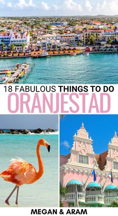 the top things to do in orangestadd, including pink buildings and flamingos