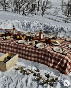 a table covered with plates and bowls in the snow next to a box full of oysters